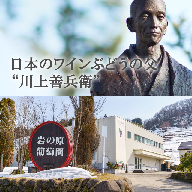 ソレイユ ドゥ マタン