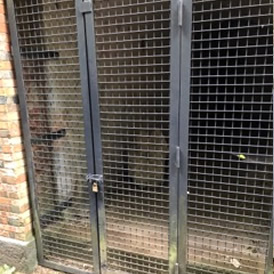 潜んでいるのは･･･