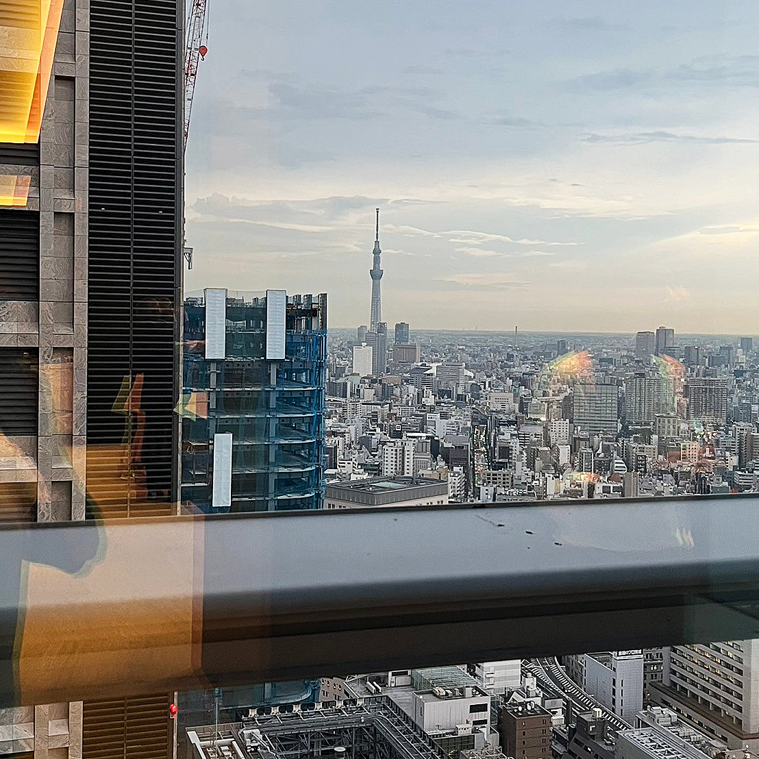 新入会員の紹介