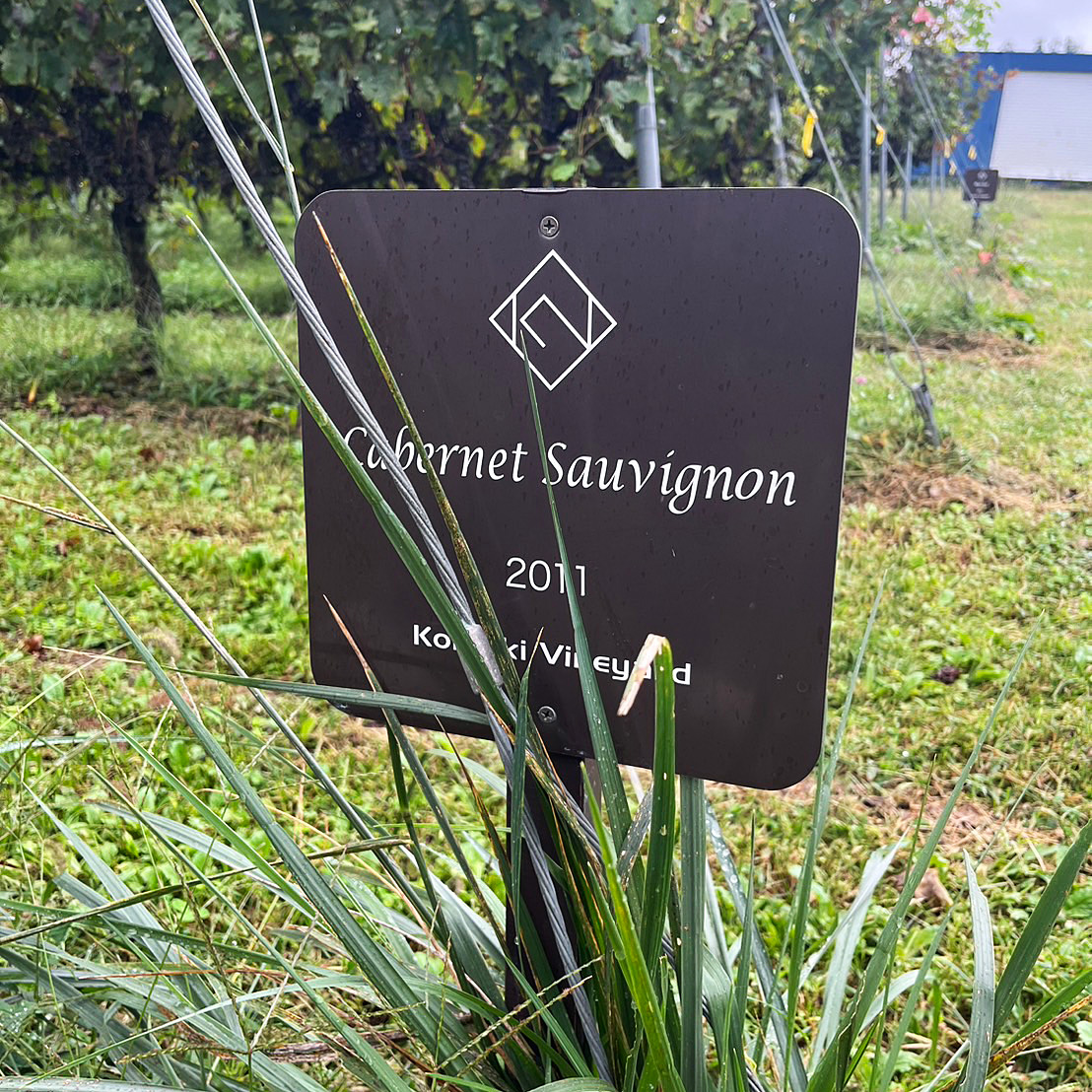 小牧ヴィンヤード
