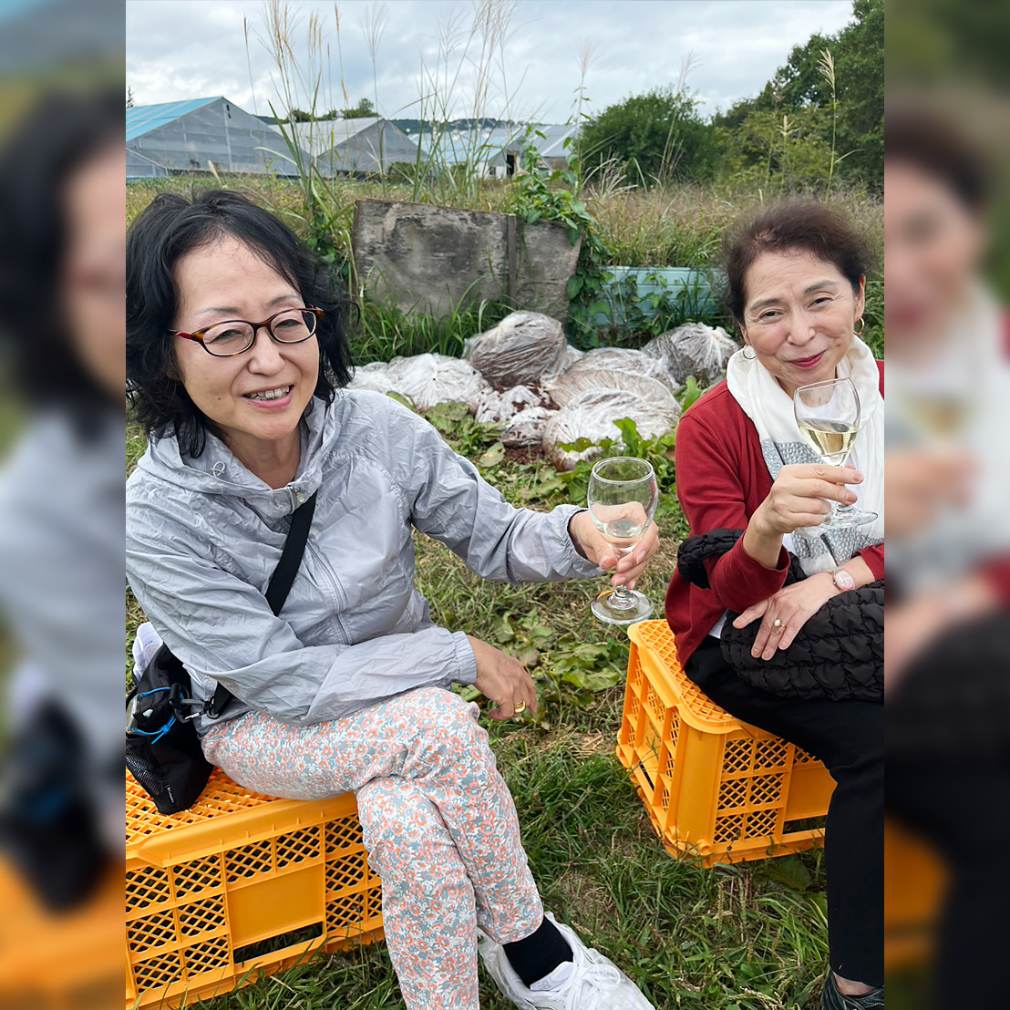 カラリアさんの圃場