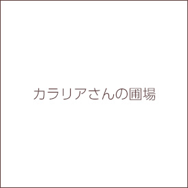カラリアさんの圃場