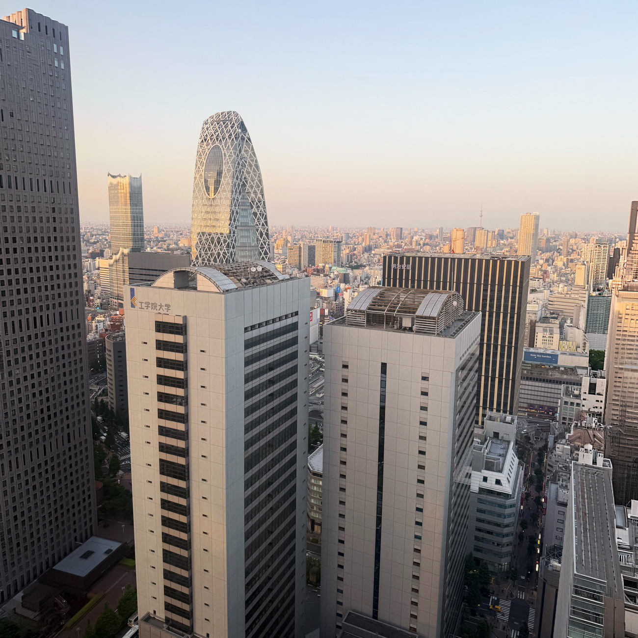 窓からの風景